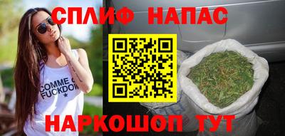 a pvp Новозыбков