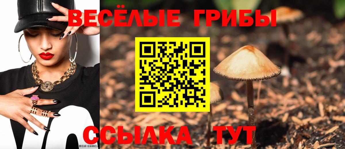 Ульяновск  Галлюциногенные грибы Psilocybine cubensis  Галлюциногенные грибы Psilocybe  Вход с VPN 